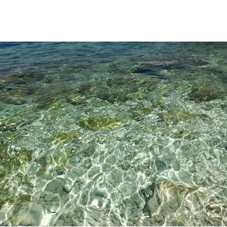 Amos At Aquamarine * Vlorë