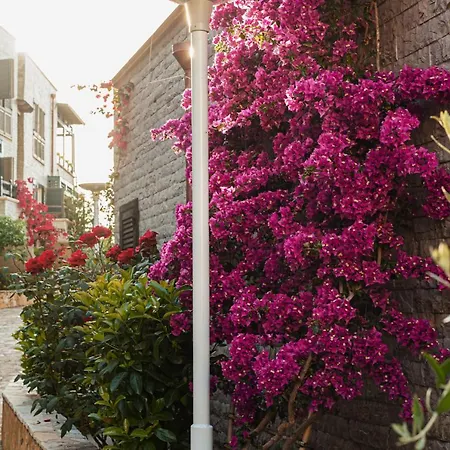 Villa Amos At Aquamarine Vlorë