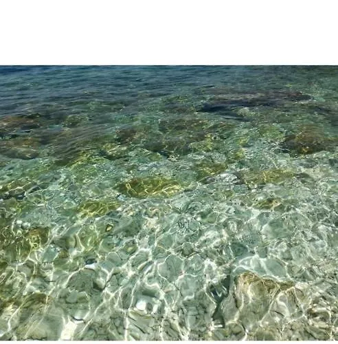 Amos At Aquamarine * فلورا